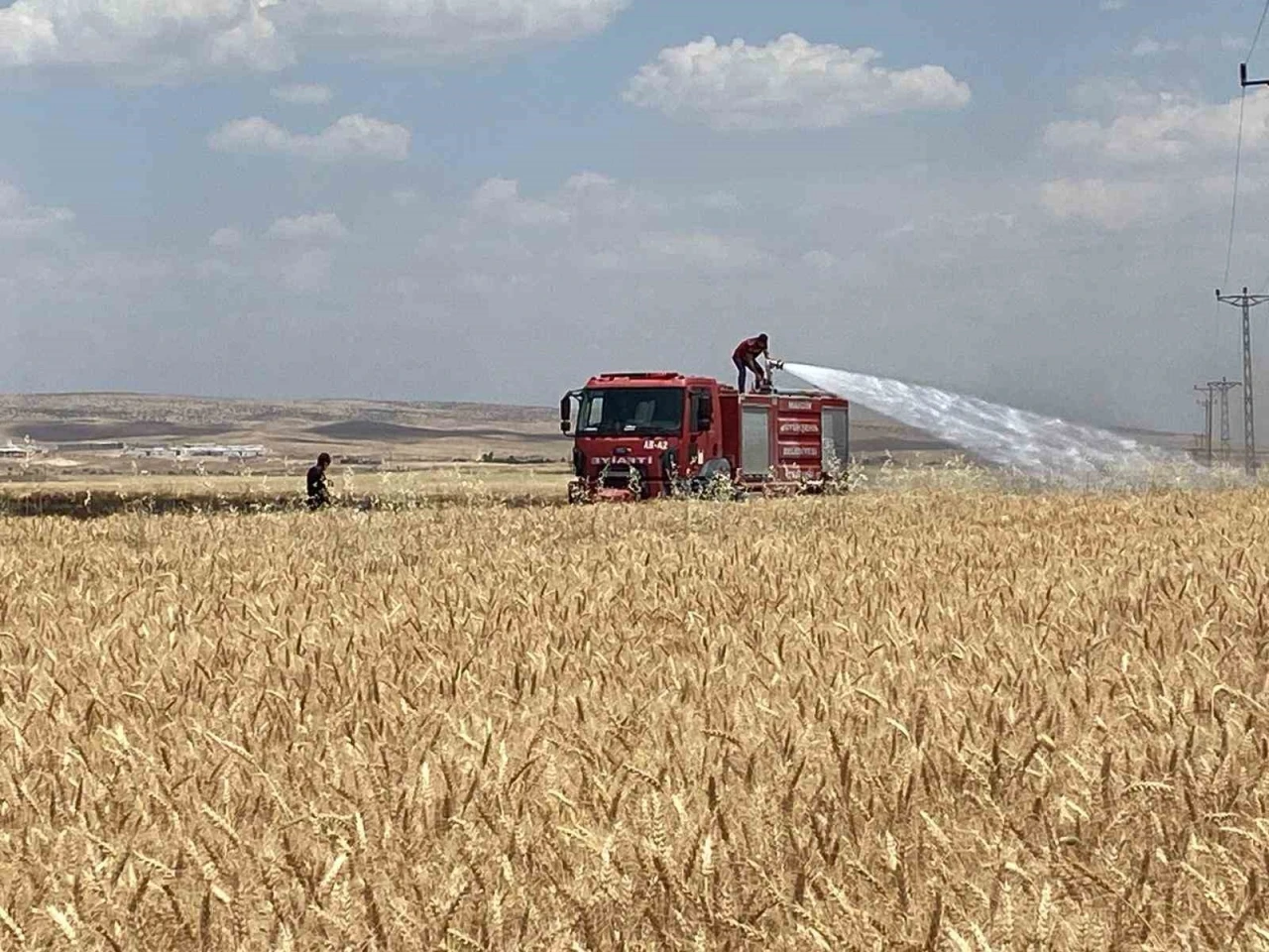 Mardin&rsquo;de yaklaşık 300 d&ouml;n&uuml;m ekili alan alevlere teslim oldu

