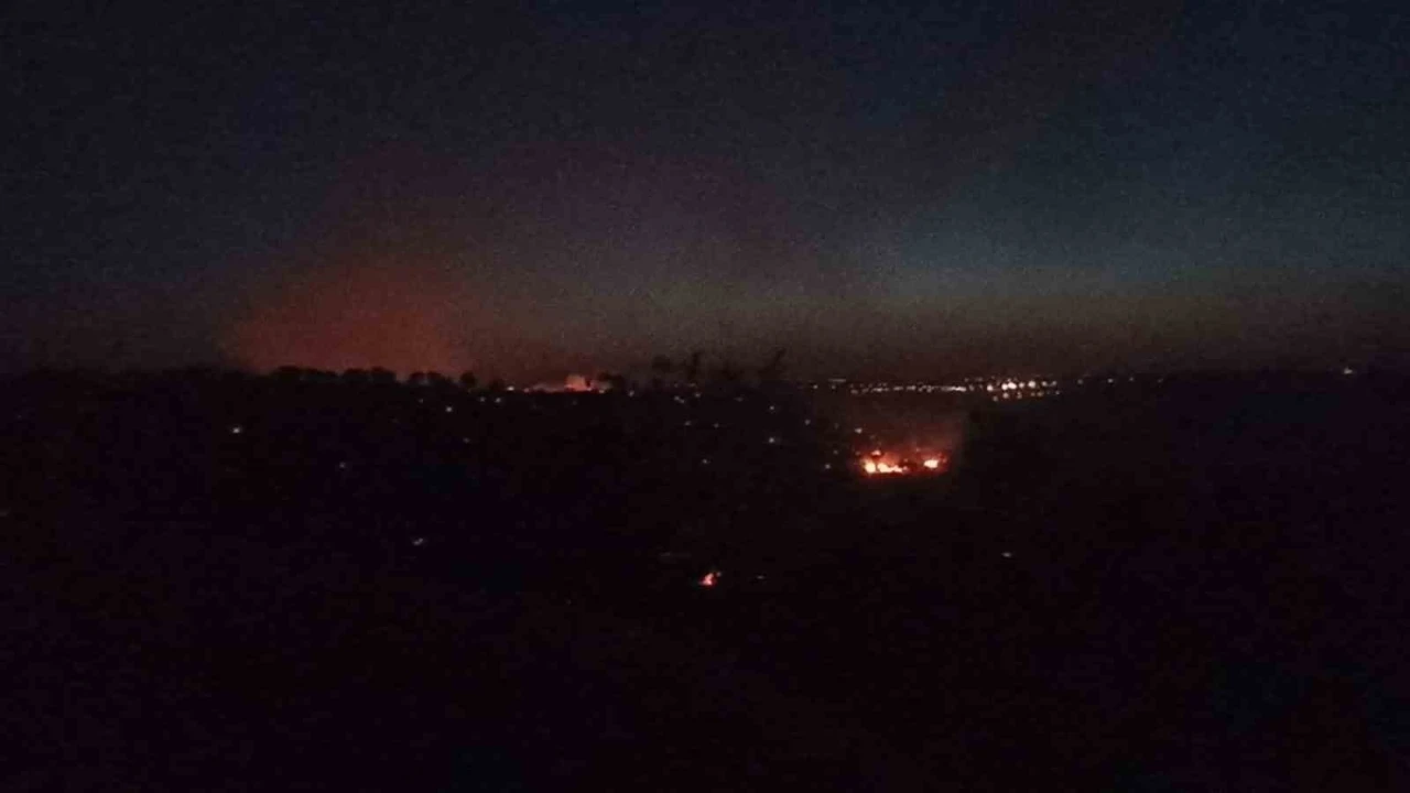 Mardin’deki orman yangını kontrol altına alındı
