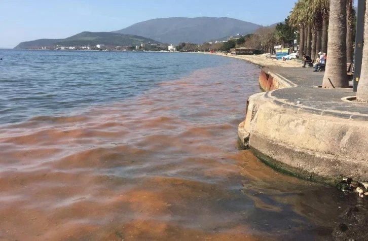 Marmara Denizi alarm veriyor
