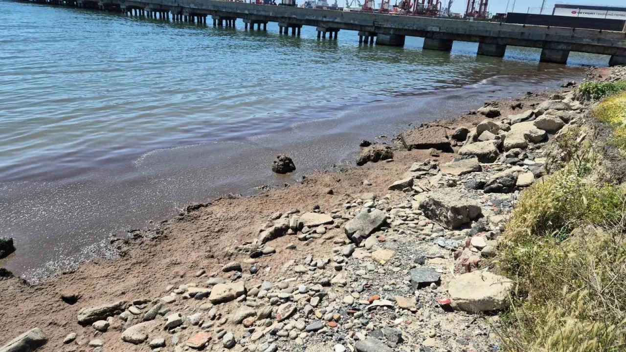 Marmara Denizi’nin Tekirdağ kıyılarında kızıl yosun birikintisi oluştu
