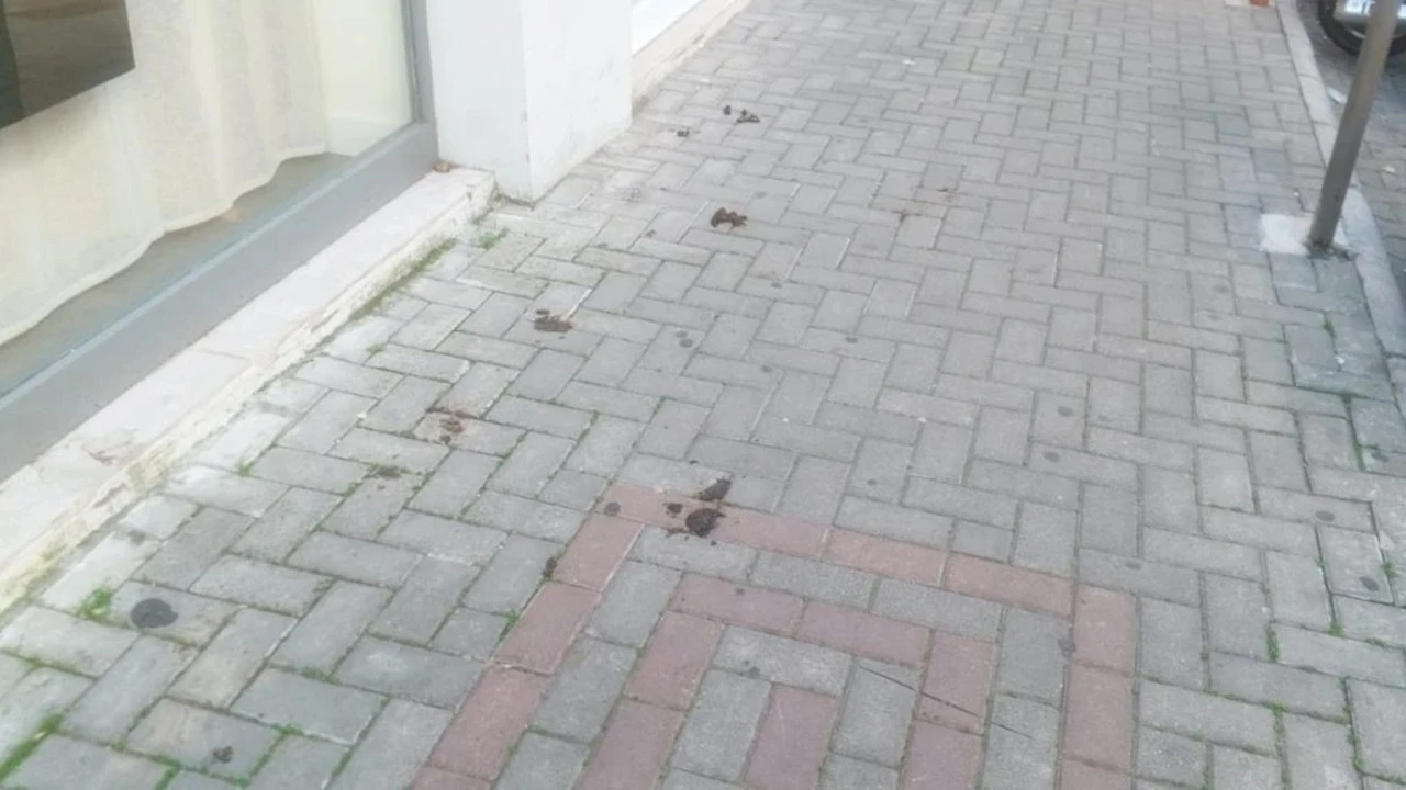 Marmaris Sokakları A&ccedil;ık Hava Tuvaletine D&ouml;nd&uuml;: Vatandaşlar Tepkili