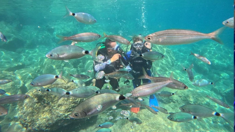Marmaris Dalış Turizminde Yerli Rüzgarı