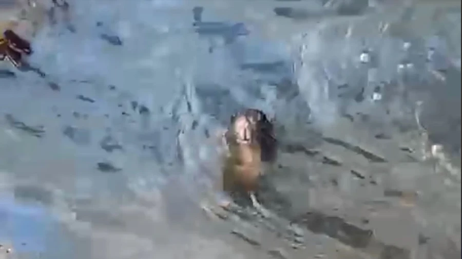 Marmaris’te fare yoğunluğu endişe yaratıyor