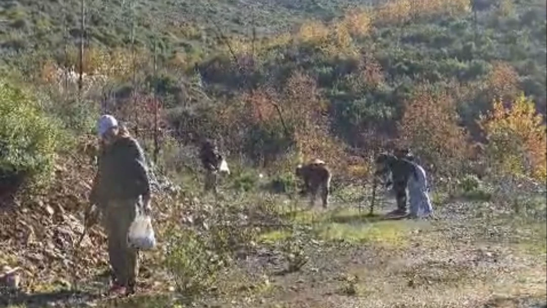 Marmaris&rsquo;te G&ouml;n&uuml;ll&uuml;lerden Doğaya Tohum Desteği