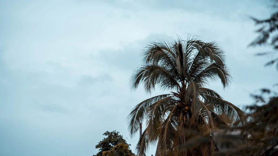 Marmaris’te kuvvetli yağış uyarısı