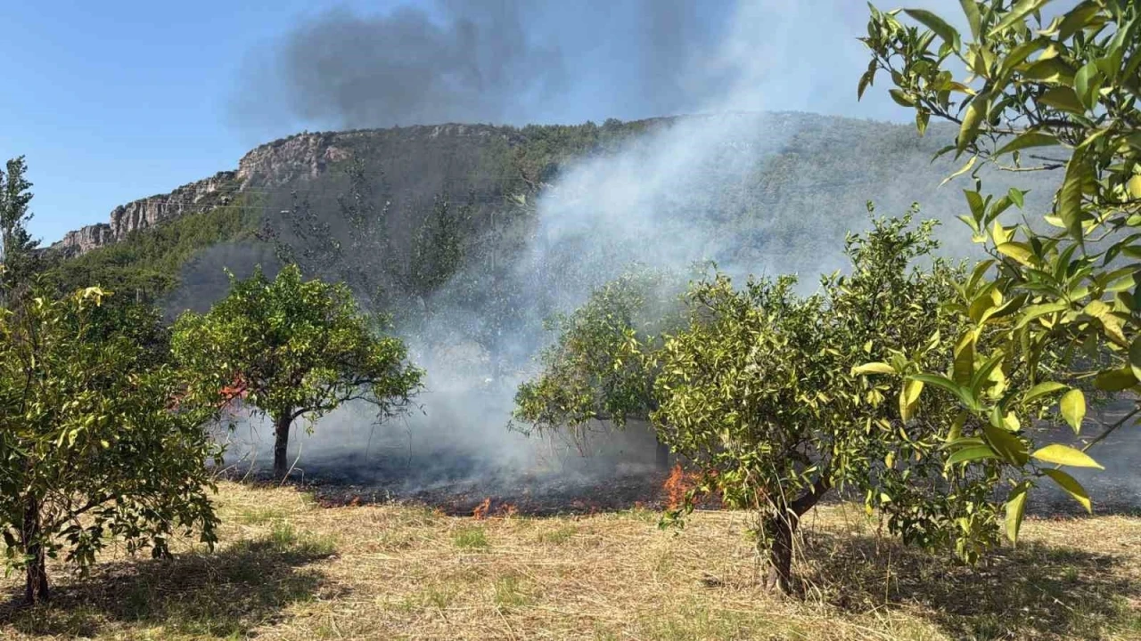 Marmaris&rsquo;te otluk alan yangını
