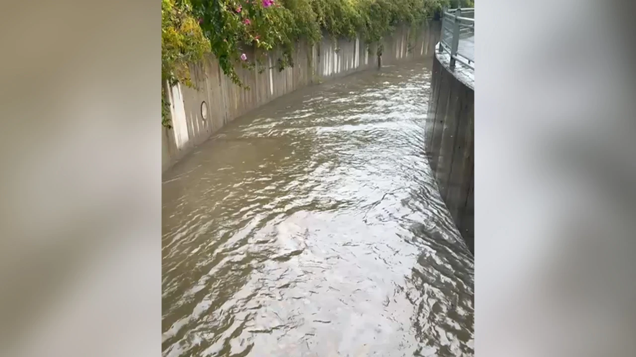    NEREDEN GELİYOR BU YAĞ VE KOKU?