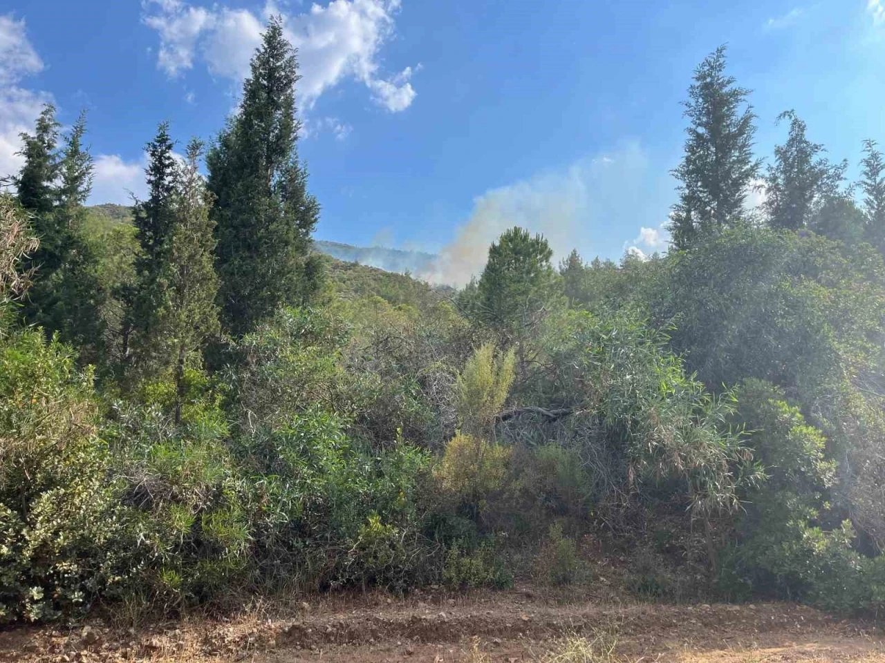 Marmaris&rsquo;te yıldırım kaynaklı orman yangını
