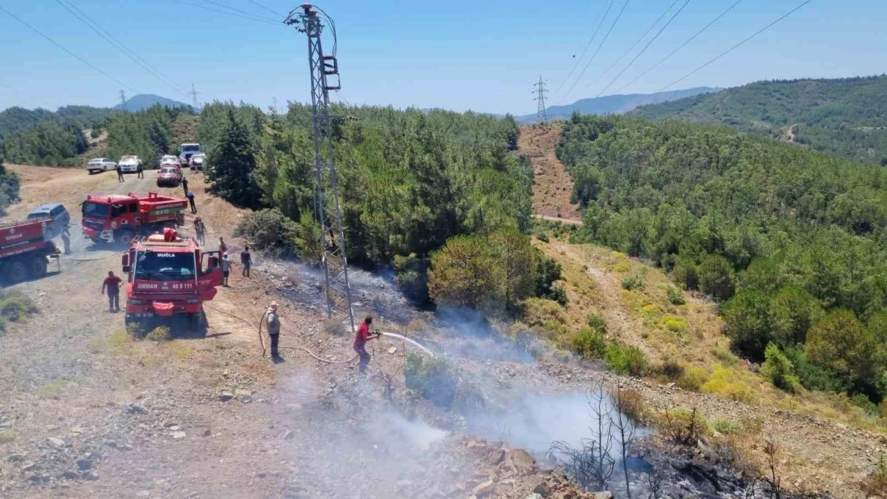 Marmaris’teki orman yangını büyümeden söndürüldü
