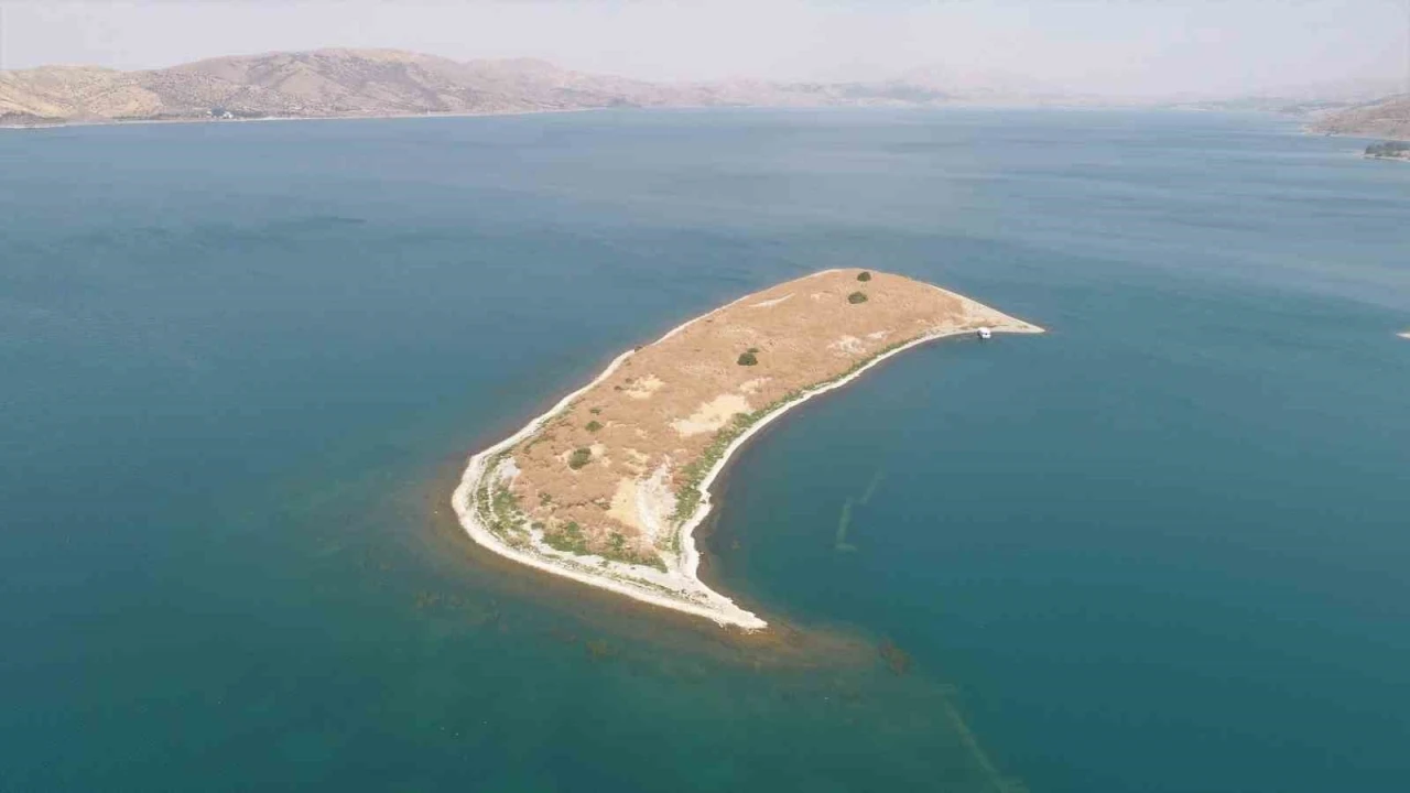 MASSAD, Tavşan Adası i&ccedil;in projelerini sıraladı
