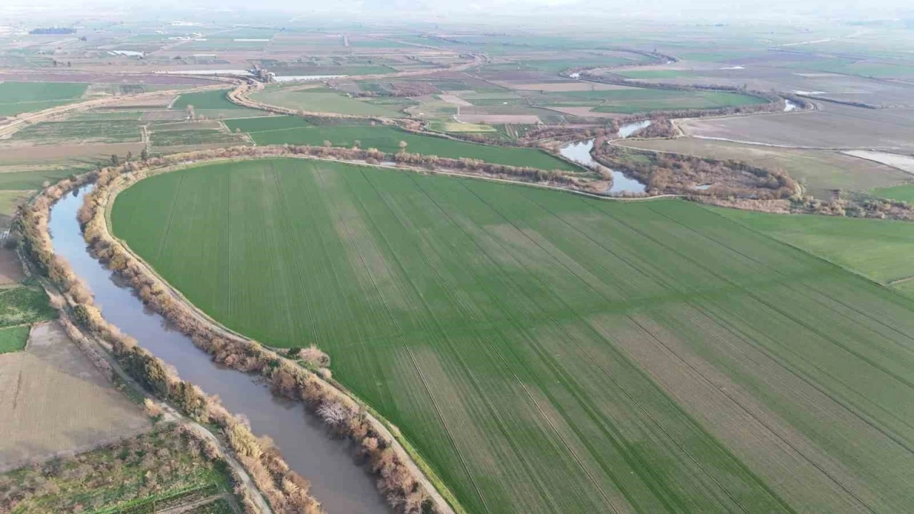 Menderes Nehri suya kavuştu
