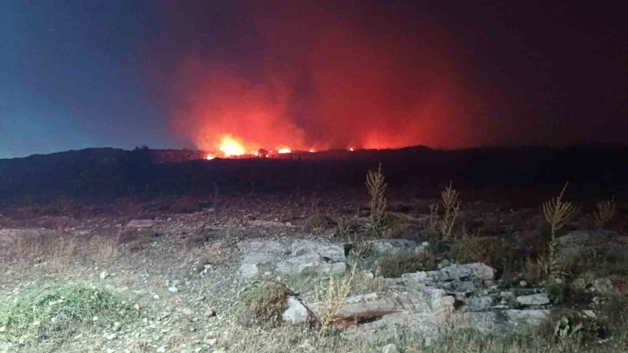 Menemen’de makilik alanda yangın
