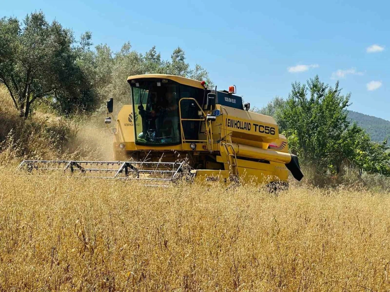 Menteşe&rsquo;de bi&ccedil;erd&ouml;verlere sıkı denetim
