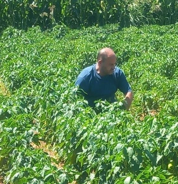 Tarım Müdürlüğü'nden Hasat Öncesi Kontrol