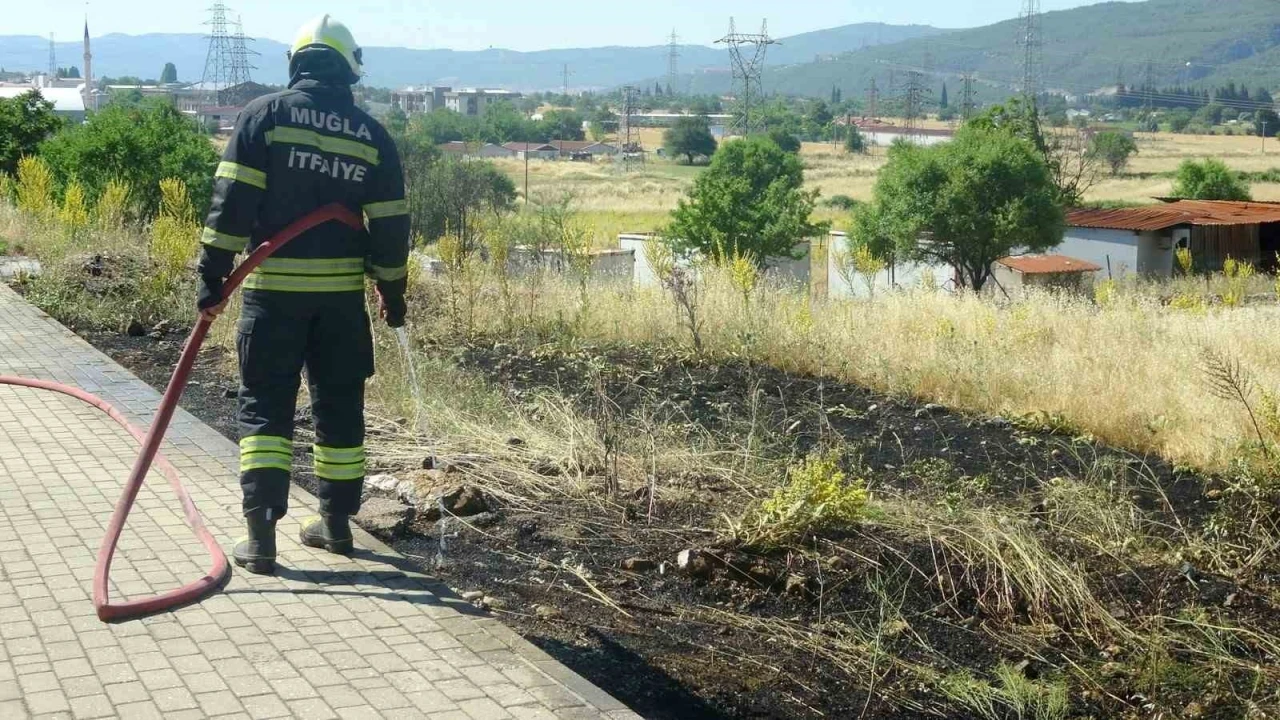 Menteşe&rsquo;de  yol kenarına atılan sigara izmariti yangın &ccedil;ıkardı

