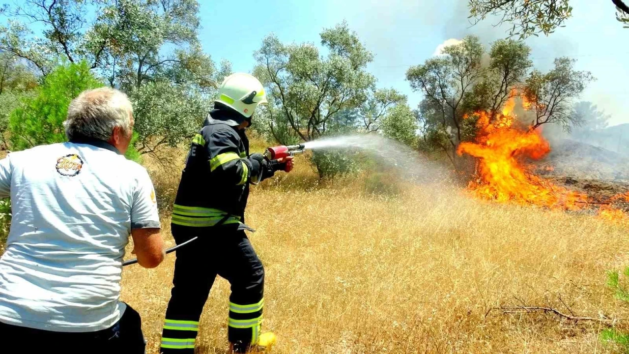 Menteşe&rsquo;de zeytinlik yangını
