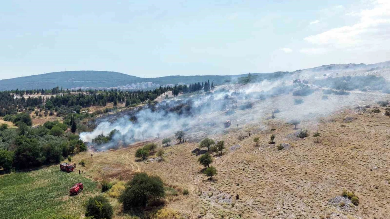 Menteşe&rsquo;deki makilik yangını kontrol altına alındı
