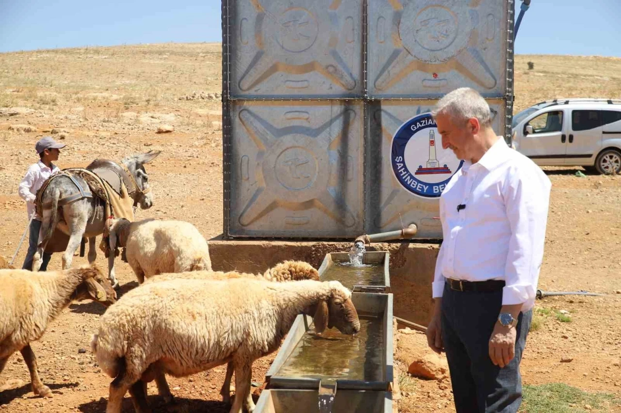 Meralarda açılan kuyularla küçükbaş hayvanların su ihtiyacı karşılanıyor
