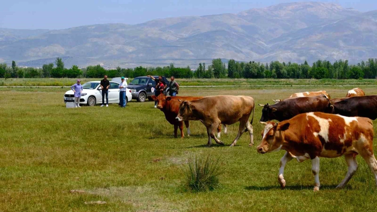 Meralarda su arama çalışmaları yapılıyor
