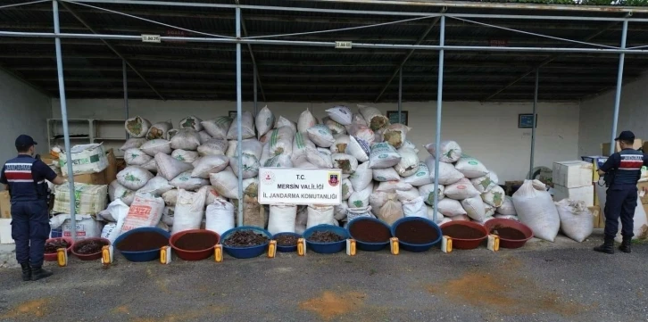 Mersin’de 10 ton kaçak tütün ele geçirildi