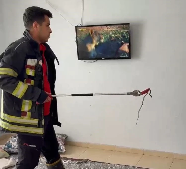 Mersin’de 2 gün önce eve giren yılanı itfaiye erleri bulup çıkarttı
