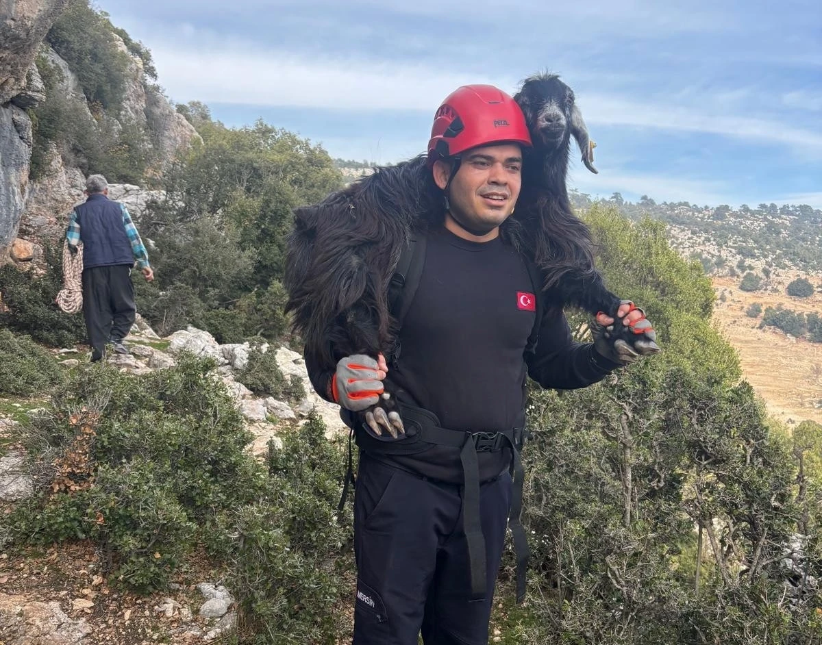 Mersin&rsquo;de kayalıklarda mahsur kalan 2 ke&ccedil;i itfaiye ekiplerince kurtarıldı
