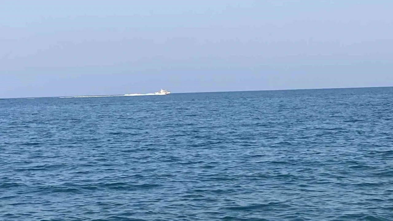 Mersin’de köpekbalığı tedirginliği
