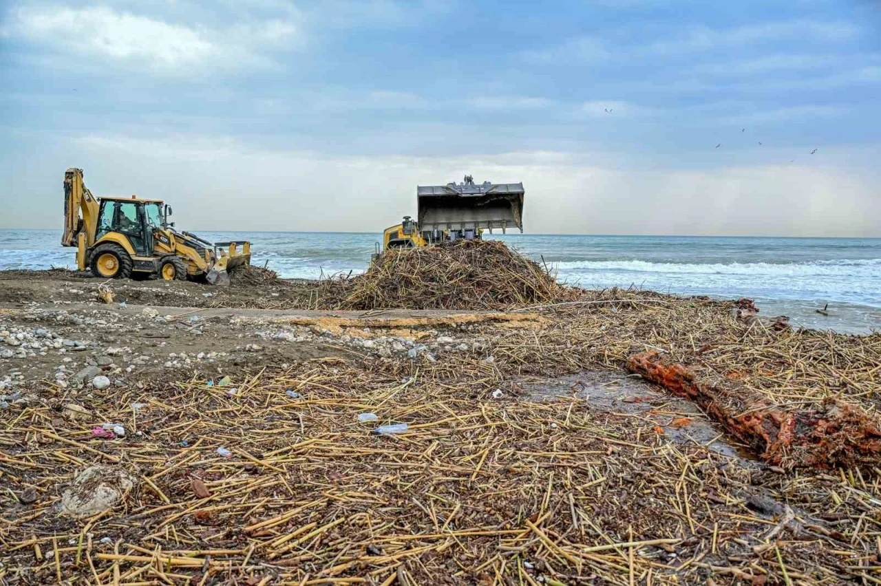 Mersin&rsquo;de selin izleri sahillerden siliniyor
