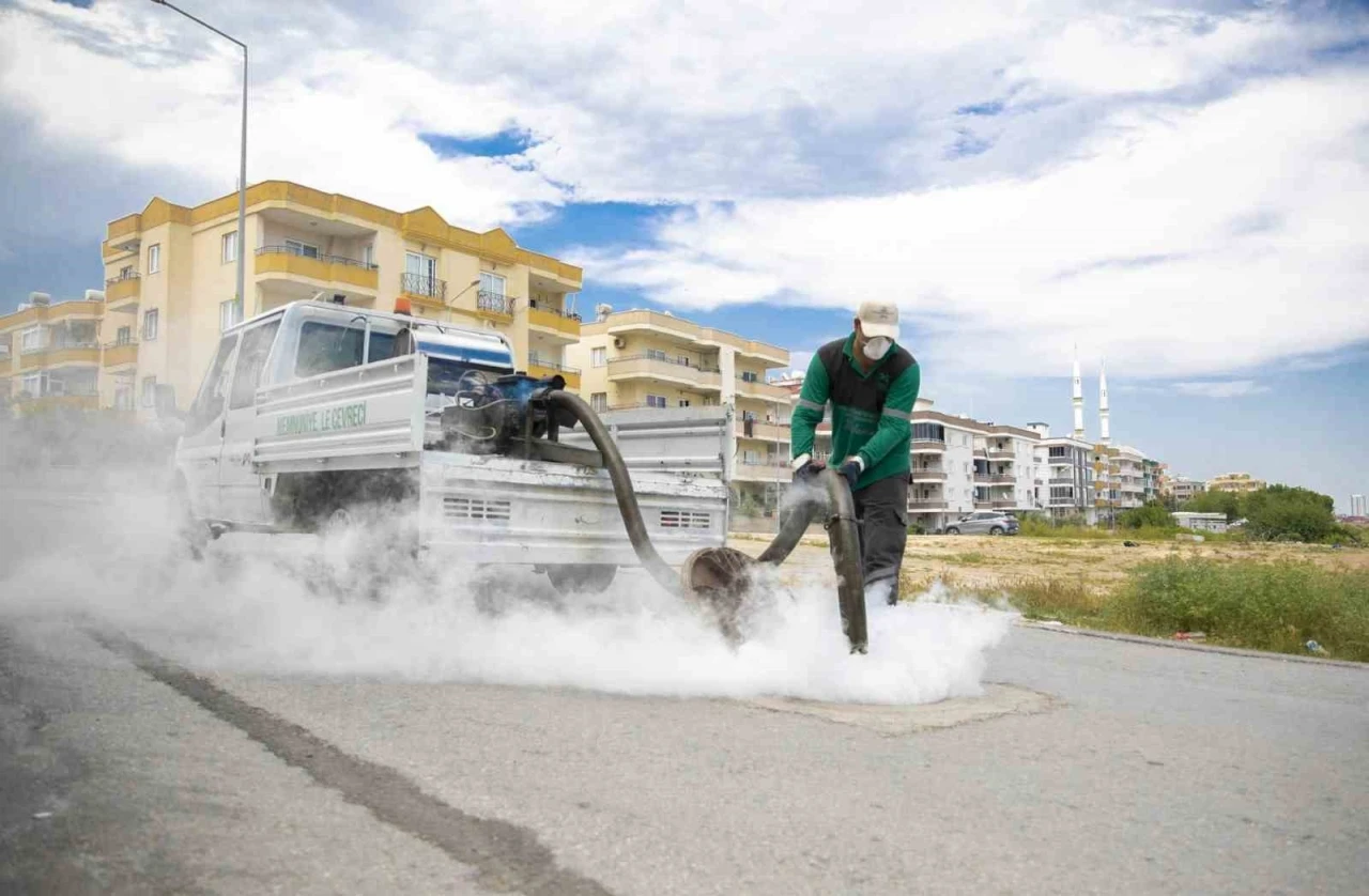Mersin&rsquo;de sinek ve haşerelere karşı yoğun mesai
