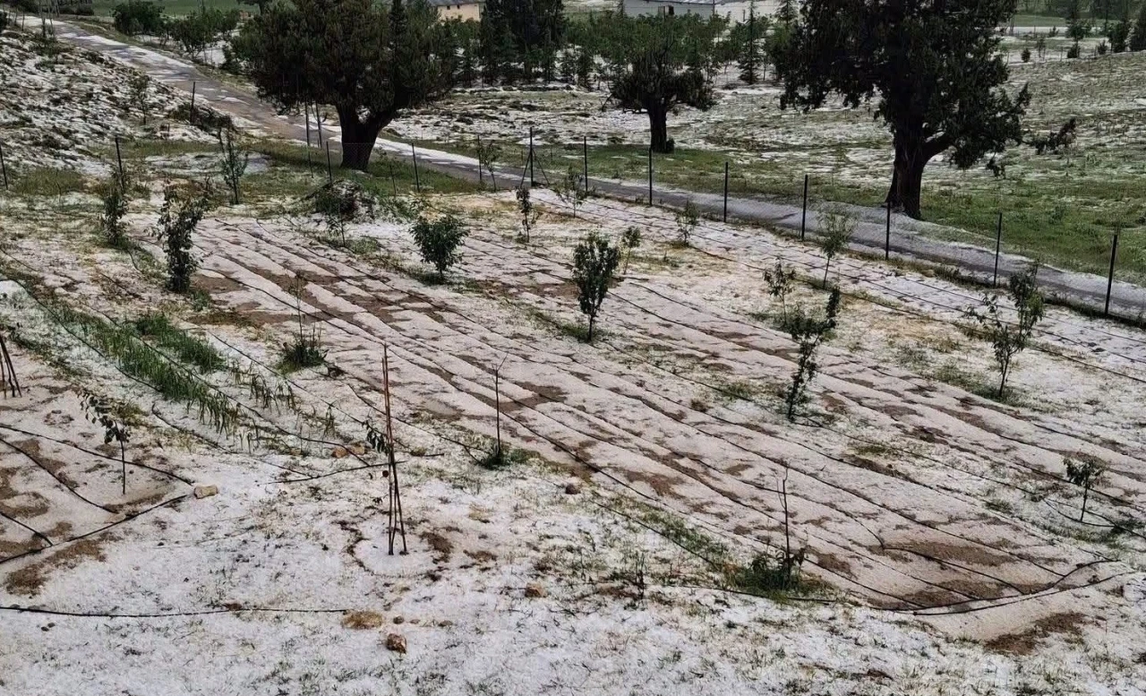Mersin Erdemli’de dolu tarım alanlarına zarar verd