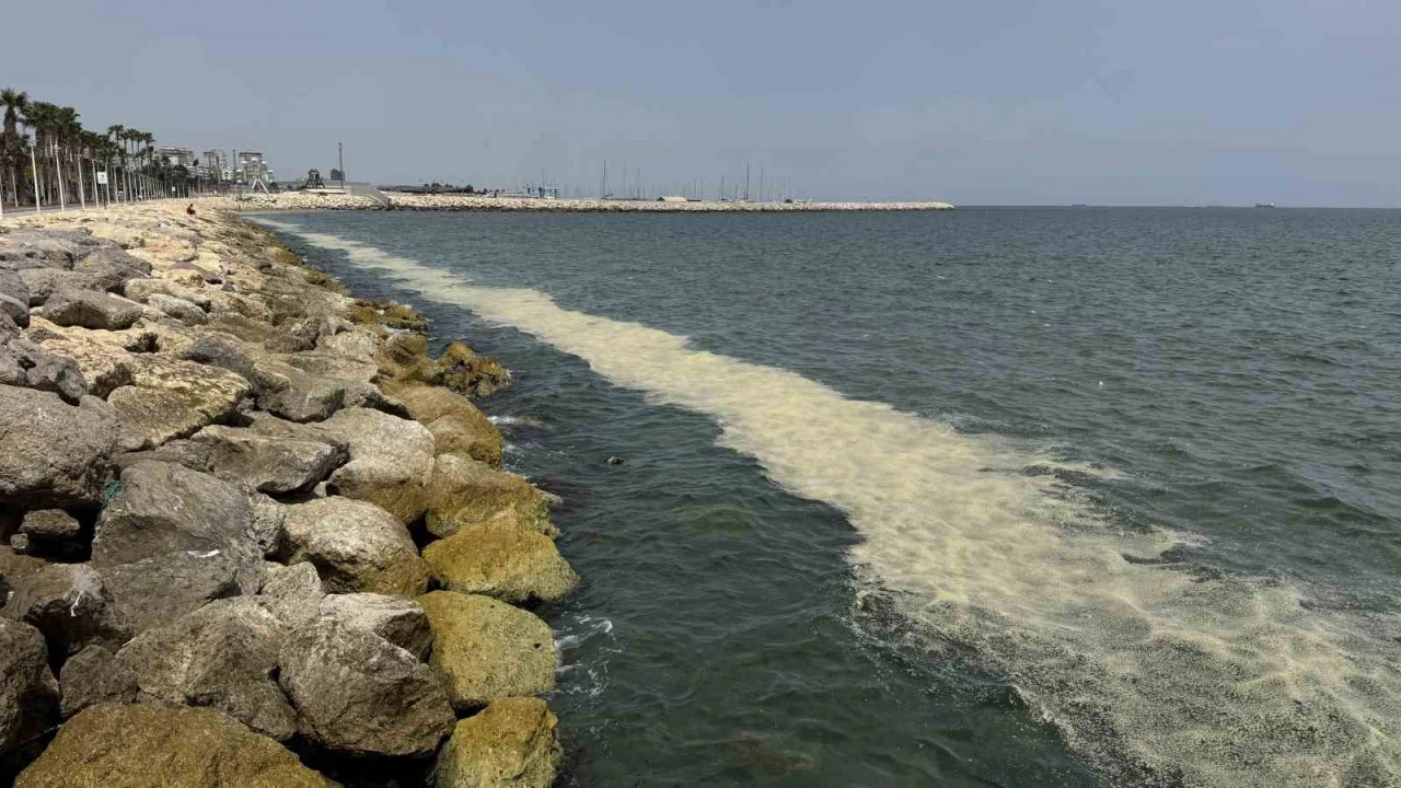Mersin Körfezi’nde ’alg patlaması ve müsilaj kalıntıları’
