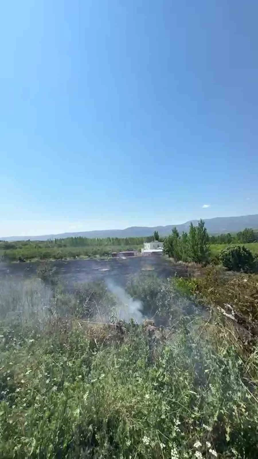 Mersin Mut’ta yangın: 15 dönüm bahçe zarar gördü