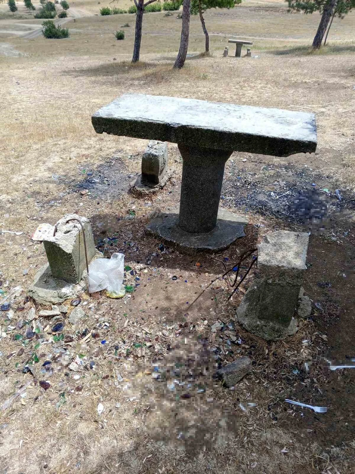 Mesire alanındaki oturma alanlarına zarar verdiler

