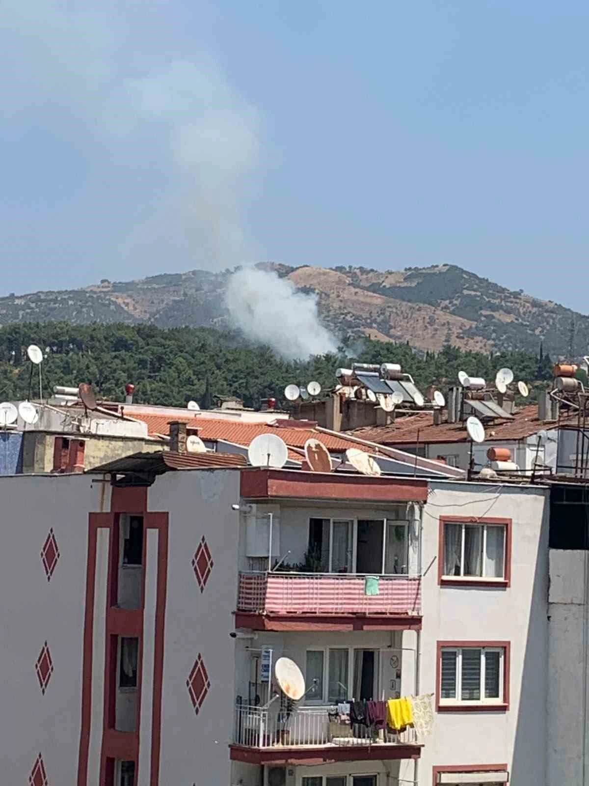 Mesire alanındaki yangın kısa s&uuml;rede s&ouml;nd&uuml;r&uuml;ld&uuml;
