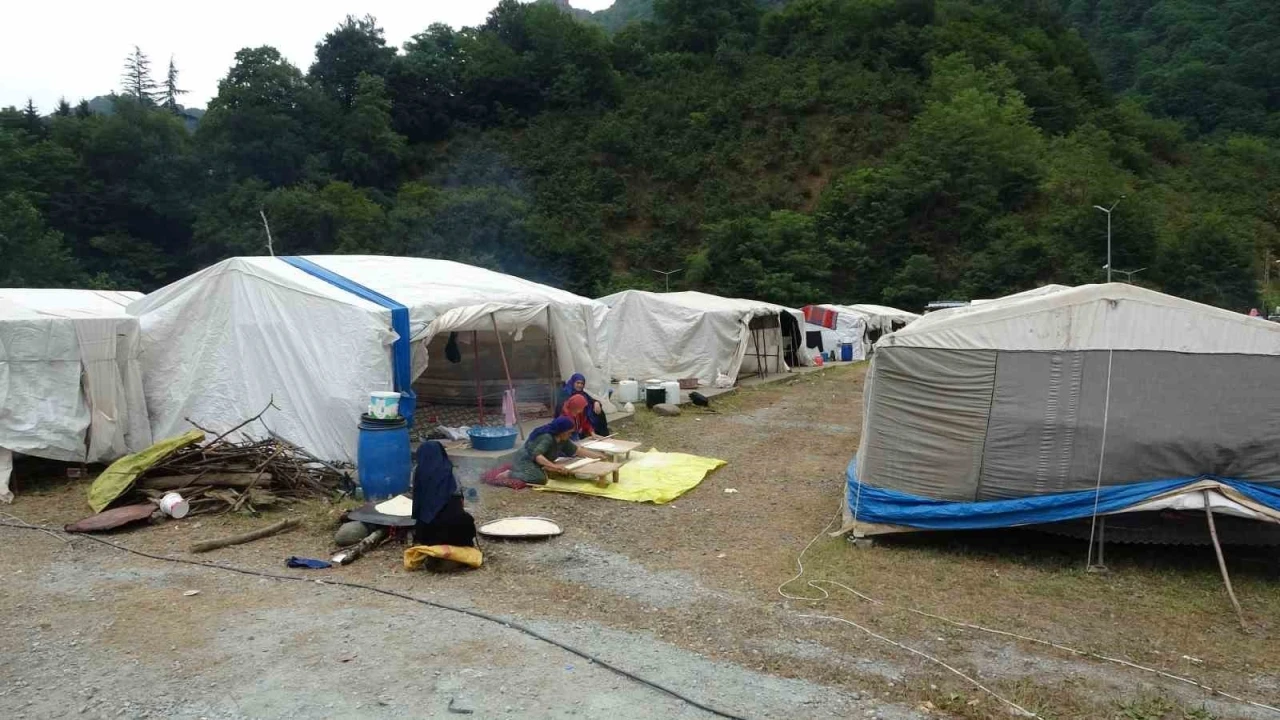 Mevsimlik tarım işçileri fındık hasadı için Ordu’da
