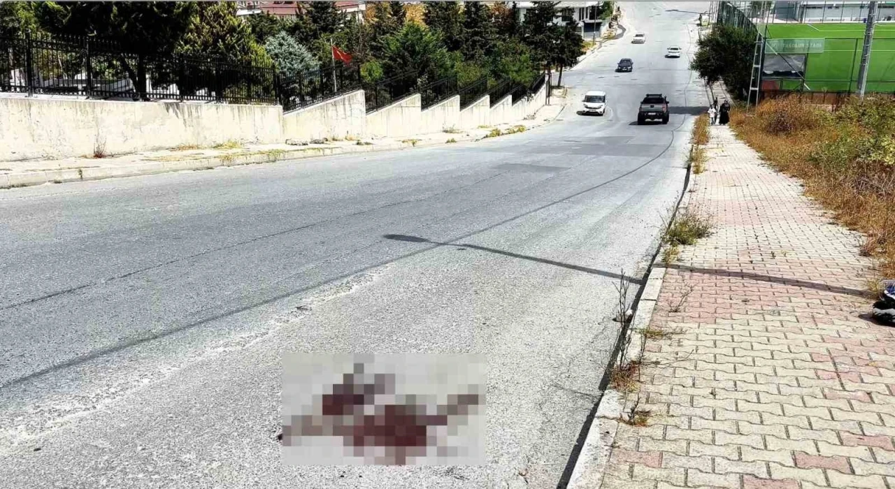 Mezarlık önünde kardeş kavgası cinayetle bitti: 1 ölü