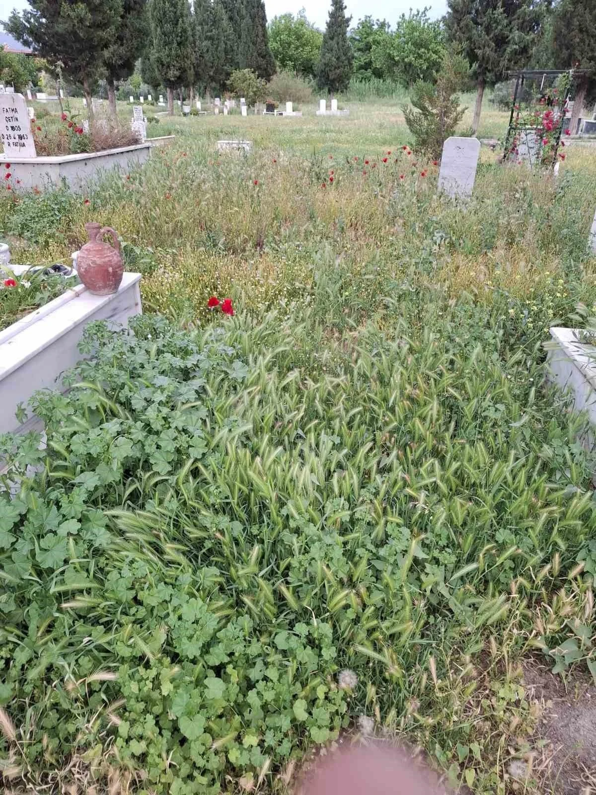 Mezarlıklar bayram öncesi sahipsiz kaldı
