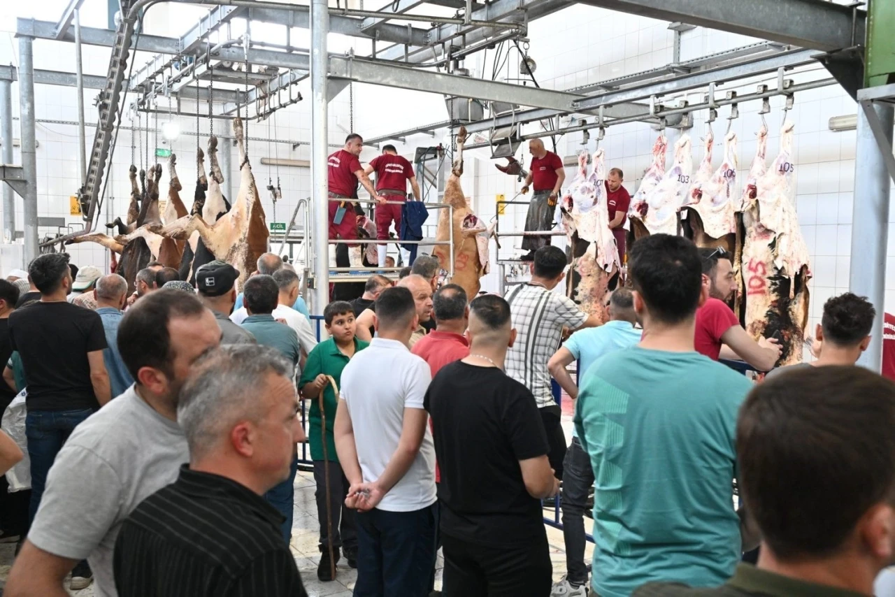 Mezbahada 250 büyükbaş kurban kesimi gerçekleştirildi
