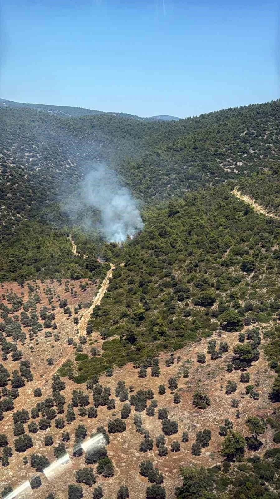 Milas Kazıklı Koyu&rsquo;nda makilik alanda yangın &ccedil;ıktı

