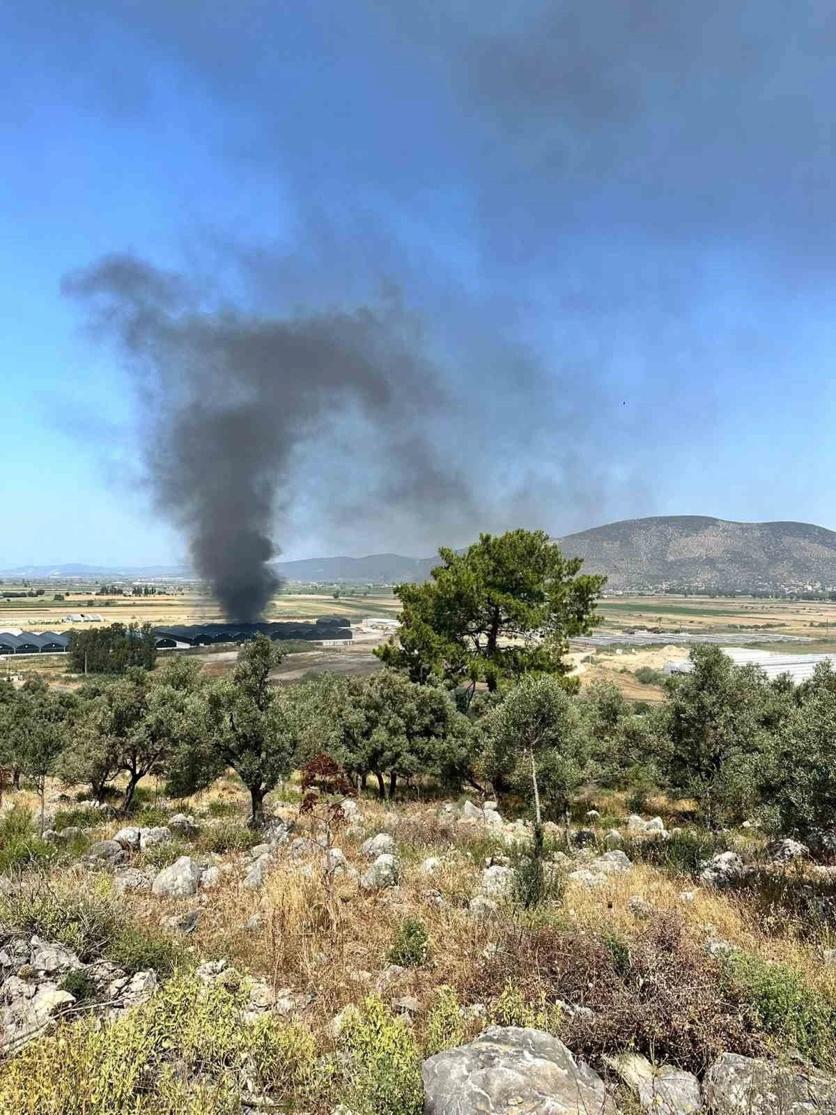 Milas’ta Balık Üretim Tesisi’nde yangın paniği
