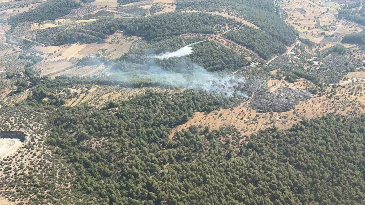 MİLAS&rsquo;TA &Ccedil;IKAN ZİRAİ YANGIN KISA S&Uuml;REDE KONTROL ALTINA ALINDI