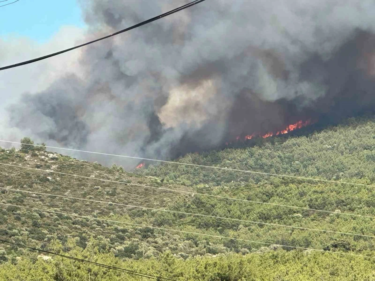 Milas&rsquo;ta orman yangını
