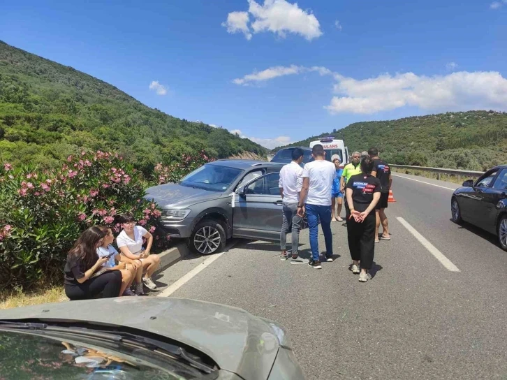Milas’ta otomobilin çarptığı köpek telef oldu, 2 kişi yaralandı
