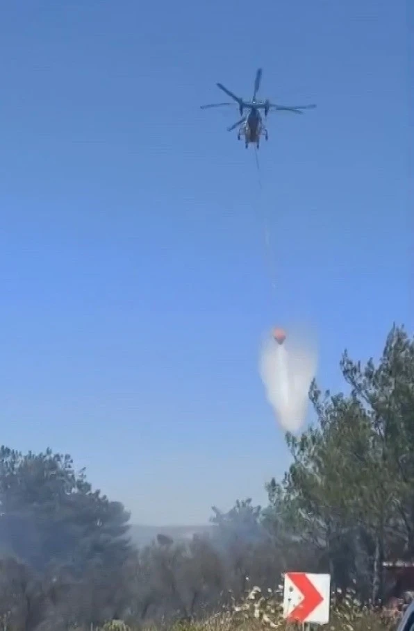 Milas’taki yangına müdahale sürüyor
