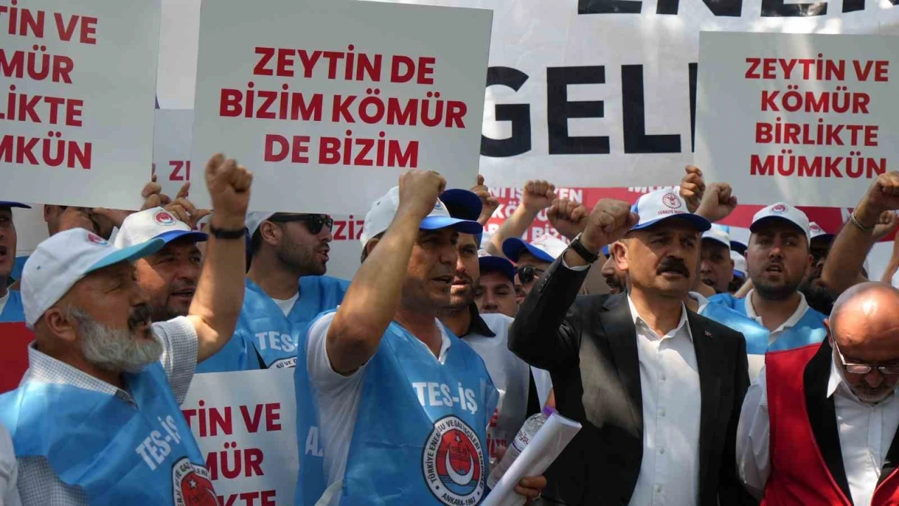 Milaslı muhtarlar ve TES-İŞ’ten Maden Yasası’na destek: &quot;Köylerimiz ve zeytinlerimiz yok olmayacak&quot;

