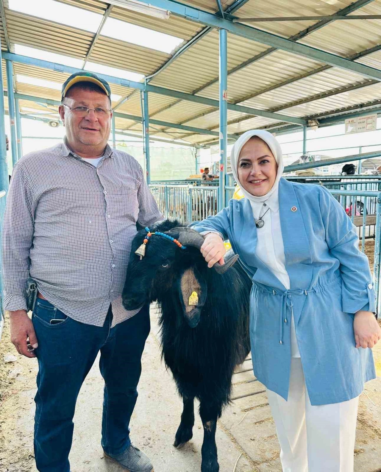 Milletvekili Sema Silkin Ün kurban pazarında yetiştiricileri dinledi
