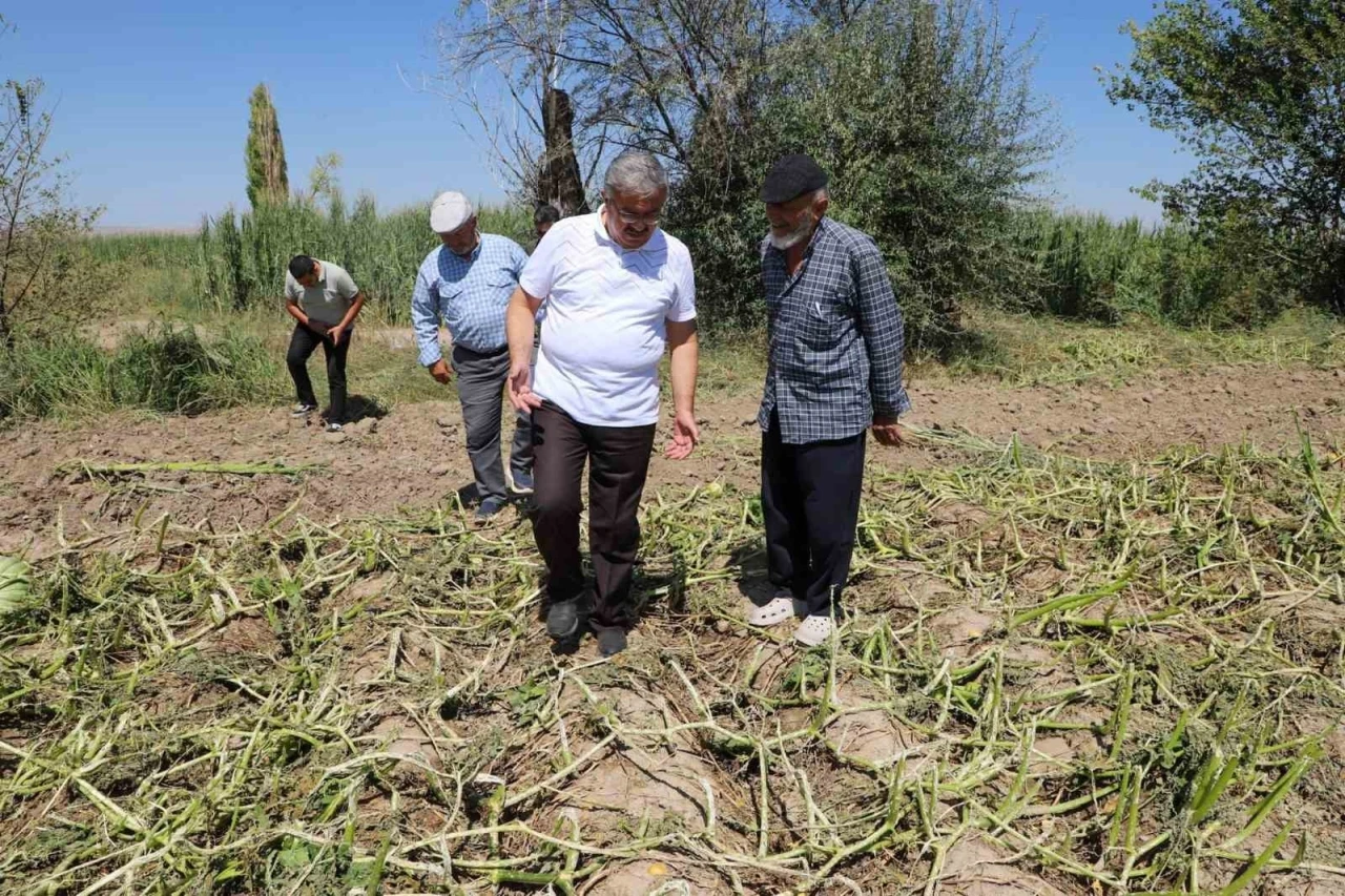 Milletvekili Yurdunuseven zarar gören tarım arazilerini inceledi
