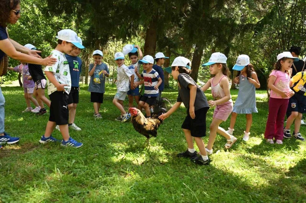 Minik eller Denizli Horozu üretimini öğrendi

