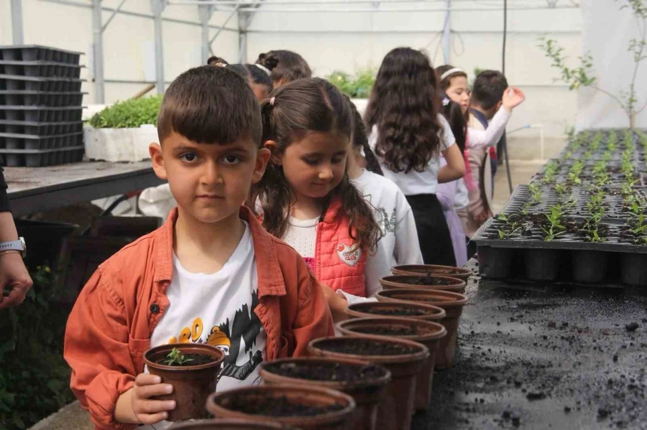 Minik öğrenciler seralarda doğayla buluştu
