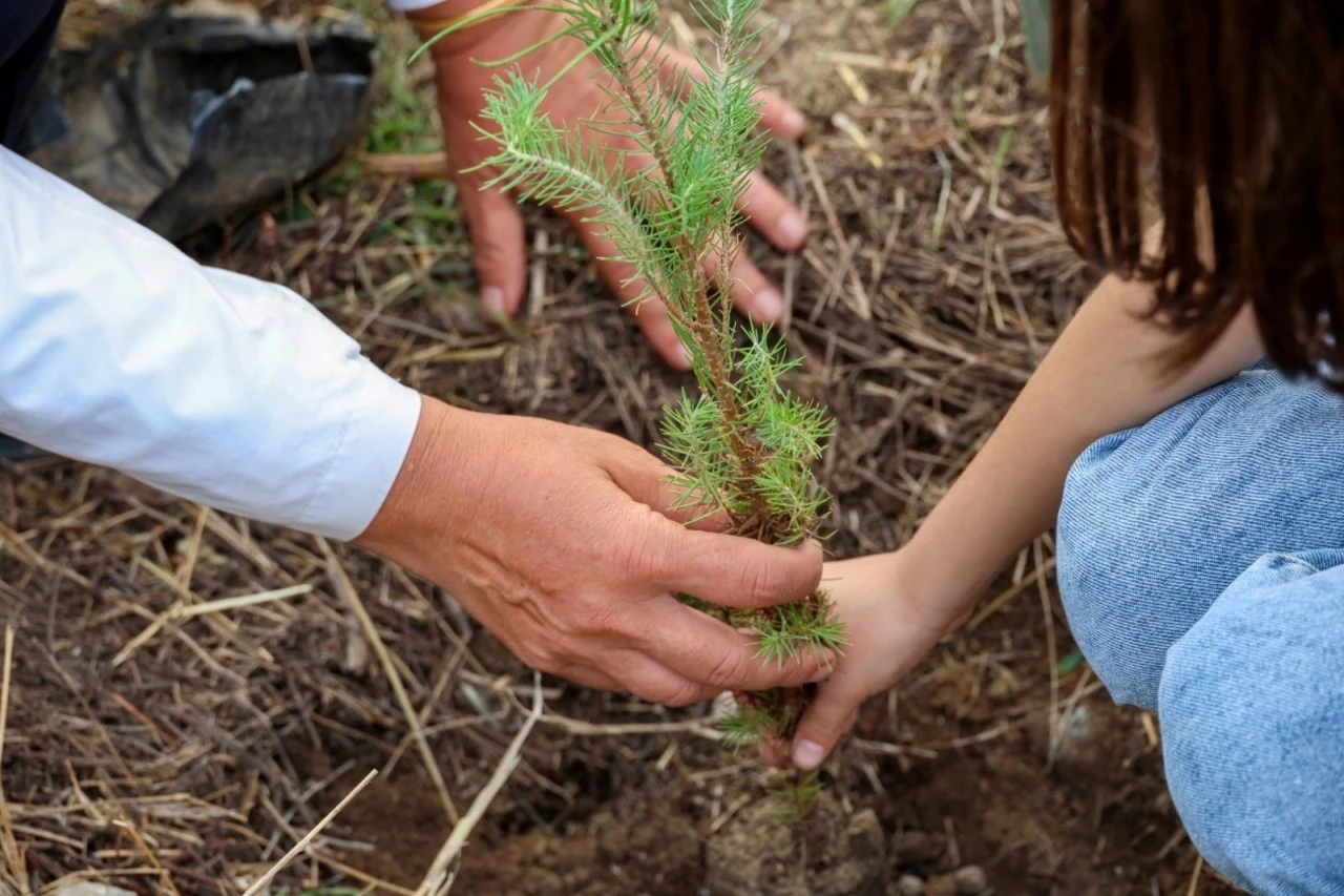 MİNİKLER BODRUM'U YEŞİLLENDİRİYOR